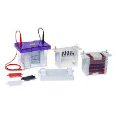 Vertical Gel Electrophoresis System Complete packages for PAGE CBS and CES Models CVS10CBS Cleaver UK